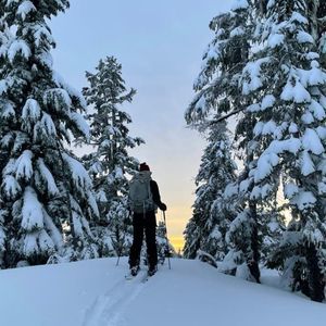 Meet your Posher, Ally